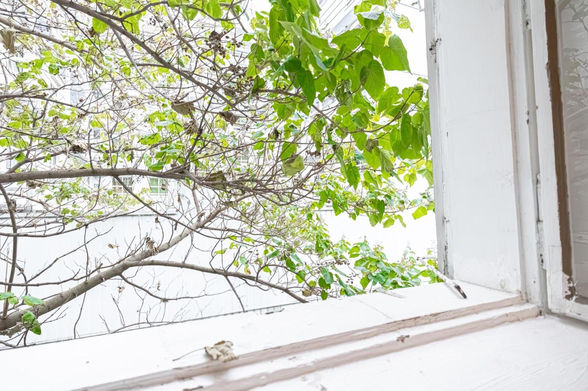 Central Belvedere 3Br Shared Apartment - 12 Min From City Center ウィーン エクステリア 写真