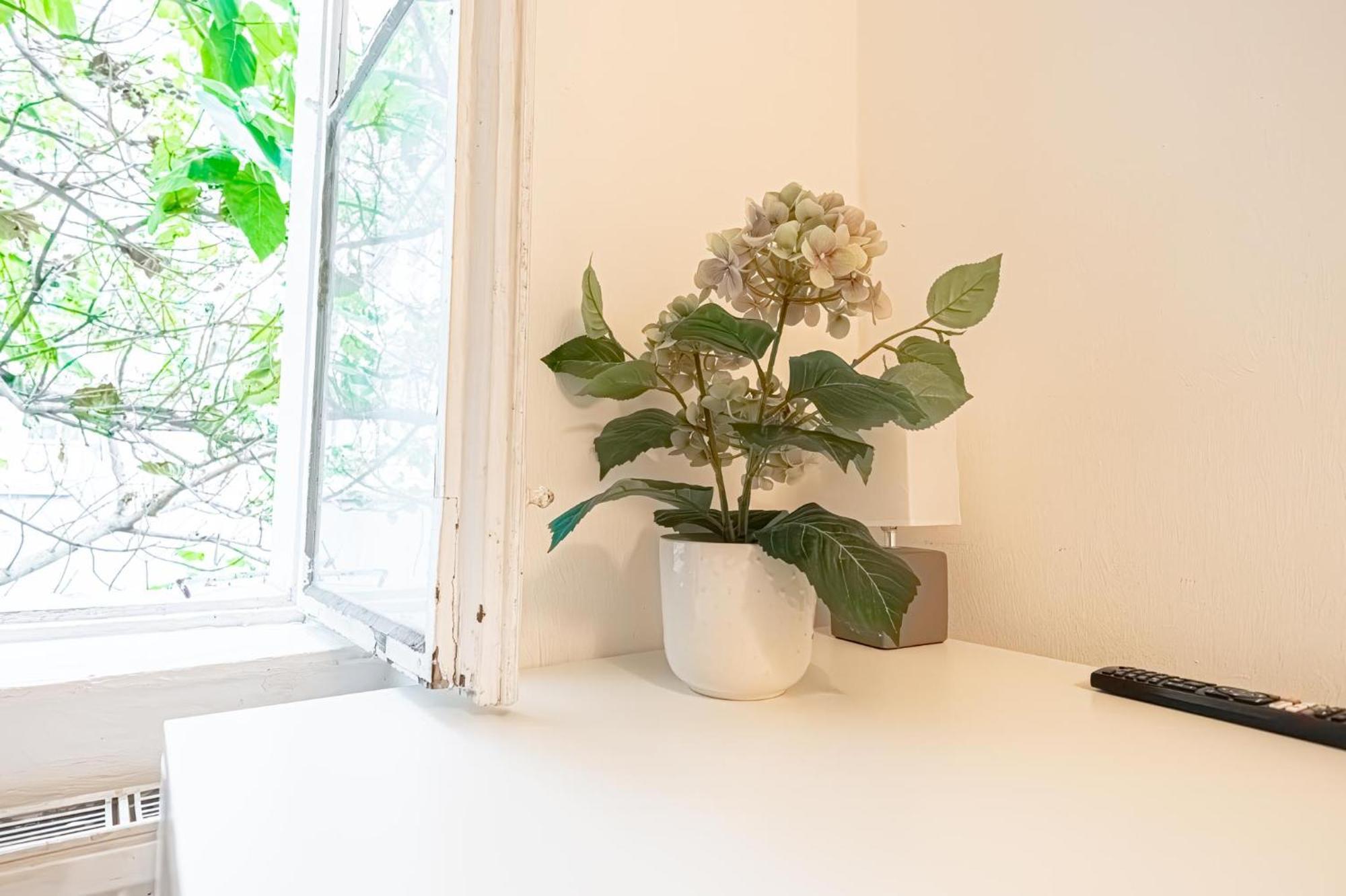 Central Belvedere 3Br Shared Apartment - 12 Min From City Center ウィーン エクステリア 写真